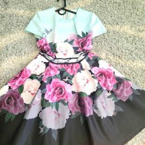 COPY - Ted Baker Dress Size 2 almost new